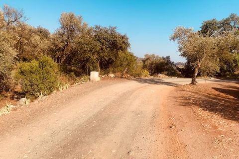Helårsgrund i Comares, Malaga, Comares - € 25.000 | Ref: ID3898 - foto 9